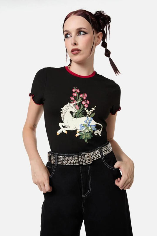 Image of Accessories. Productname: Heavy Metal Stud Belt in Black colour by brand - Dangerfield