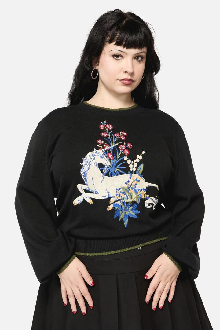 Image of a model wearing Tops. Productname: Curve Aicorn Placement Knit in Black colour by brand - Dangerfield