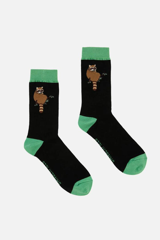 Image of Socks. Productname: Raccoon Socks in Black colour by brand - Dangerfield