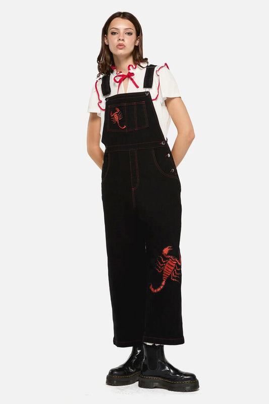 Image of a model wearing Pants. Productname: Scorpion Patch Overall in Black colour by brand - Dangerfield