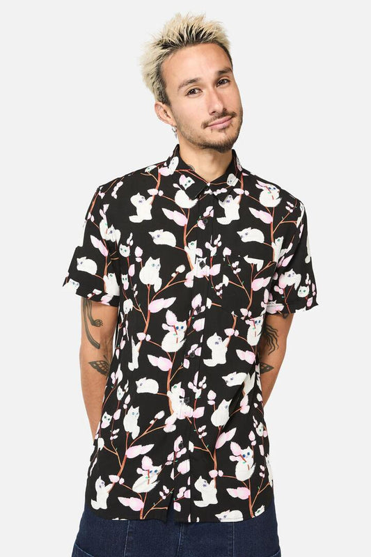 Image of a model wearing Shorts. Productname: Pussy Willow Short SleeveShirt in Black colour by brand - Dangerfield