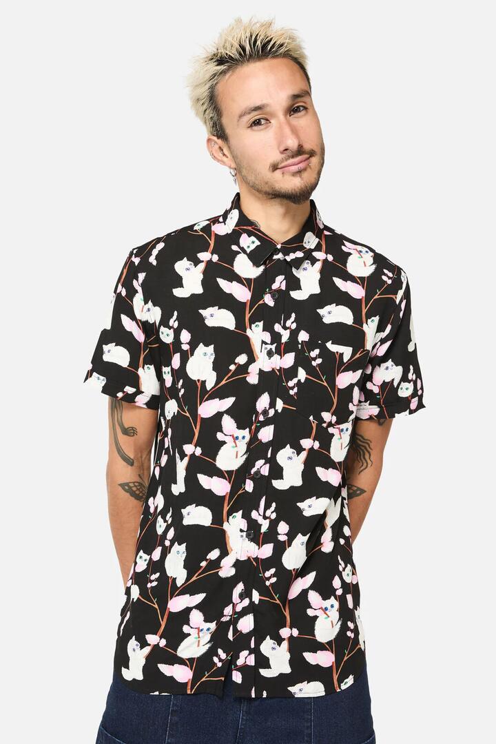 Image of Shirts. Product name - Pussy Willow Short Sleeve Shirt in Black colour by brand - Dangerfield