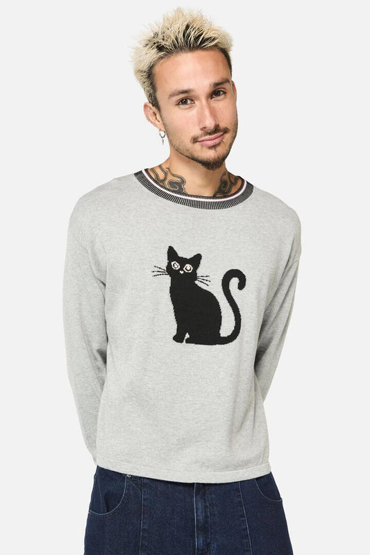 Image of a model wearing Outerwear. Productname: Catkins Varsity Knit Jumper in Grey colour by brand - Dangerfield