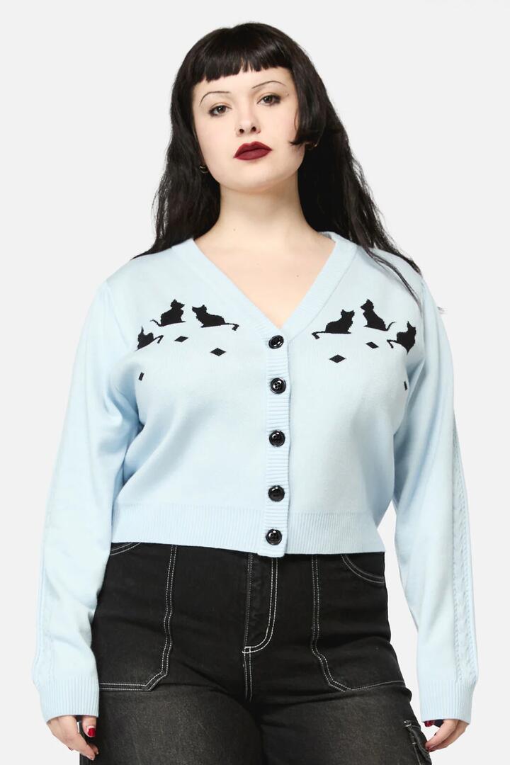 Image of a model wearing Outerwear. Productname: Curve Catkins Cableknit Cardi in Blue colour by brand - Dangerfield
