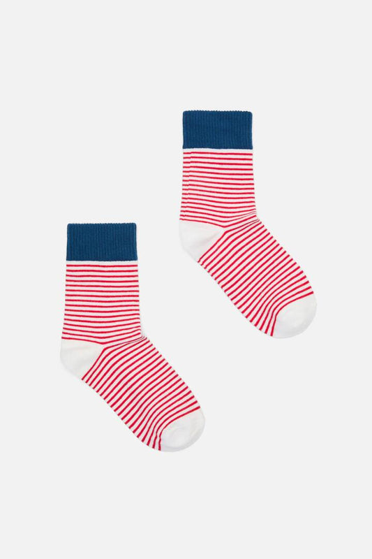 Image of Socks. Productname: Red Thin Stripe Sock in Red colour by brand - Princess Highway