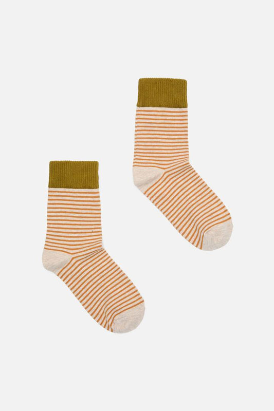 Image of Socks. Productname: Tan Thin Stripe Sock in Tan colour by brand - Princess Highway