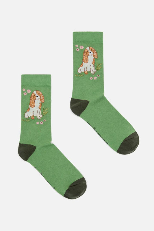 Image of Socks. Productname: Dogs Sock in Green colour by brand - Princess Highway