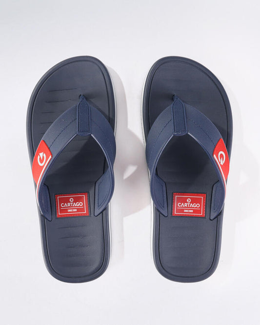 Image of Sandals. Productname: Paris Thong Ad: Blue/grey - Women's Ipanema in Blue colour by brand - Ipanema