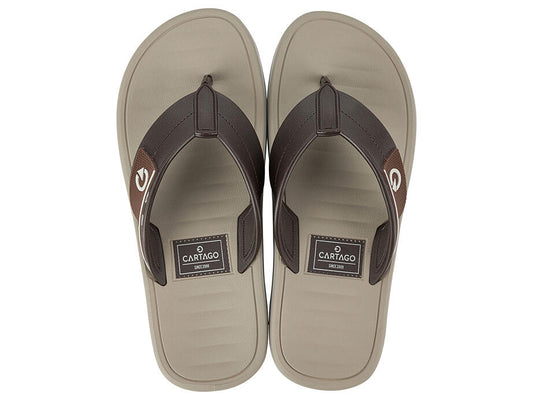 Image of Sandals. Productname: Paris Thong Ad: Beg/brwn/brwn - Women's Ipanema in Beg/Brwn/Brwn colour by brand - Ipanema