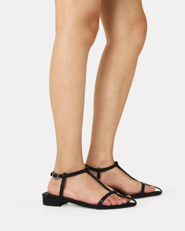 Image of Heels. Productname: Zack: Black - Women's High Fashion in Black colour by brand - Novo