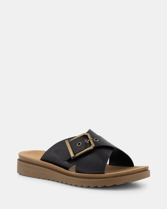 Image of Sandals. Productname: Sidnie: Black - Women's Thongs in Black colour by brand - Novo