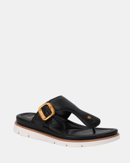 Image of Sandals. Productname: SILVENA BLACK Women's Thongs Novo Sandals in Black colour by brand - Novo