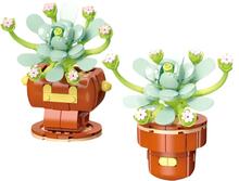 Image of Construction Set Toys. Product name - Flower Love Short Succulent 185pcs in colour by brand - Toymate