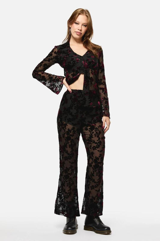 Image of a model wearing Pants. Productname: Lush Burnout Velvet Pants in Multi colour by brand - Black Friday