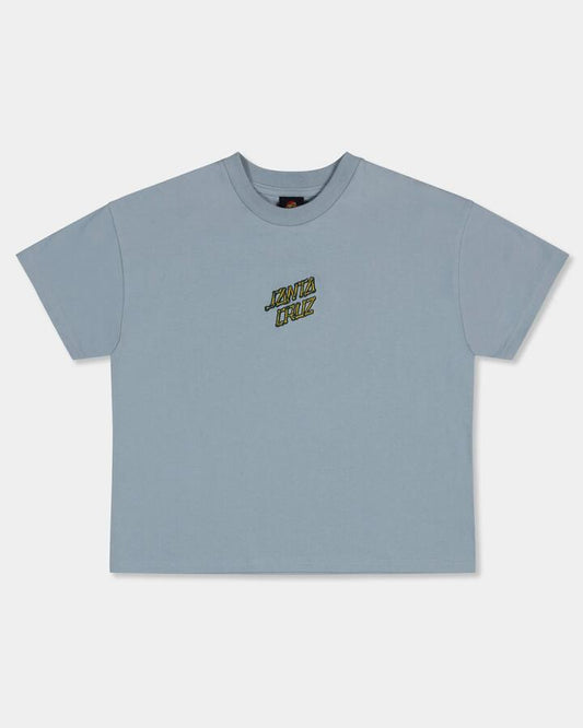 Image of T-Shirts. Productname: Santa Cruz Boys 8-16 Brain Dot Centre T-Shirt Slate - in Slate colour by brand - Santa Cruz
