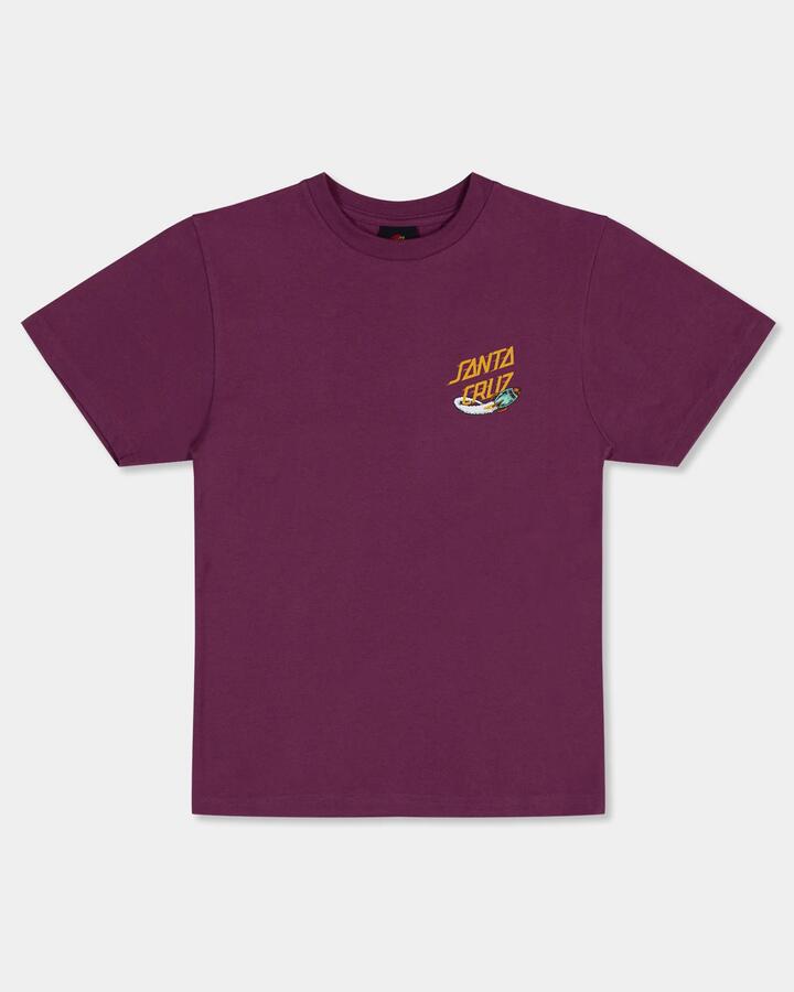 Image of a model wearing Tops. Productname: Santa Cruz Boys 8-16 Space Dot Rocket T-Shirt Maroon - in Maroon colour by brand - Santa Cruz