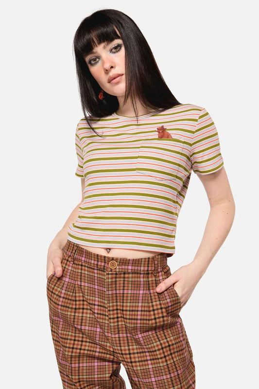 Image of a model wearing Tops. Productname: Grazing Stripe Pocket Tee in Rainbow colour by brand - Dangerfield