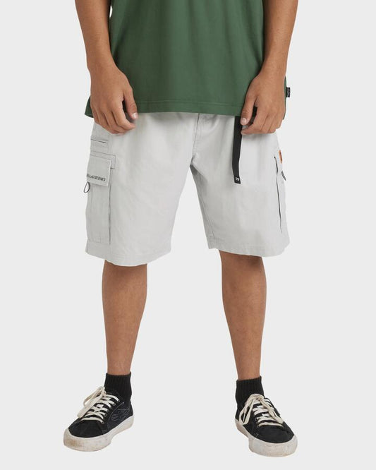 Image of Accessories. Product name - Billabong Mens Spec 73 Cargo 22" Walkshorts Silver - in Silver colour by brand - Billabong