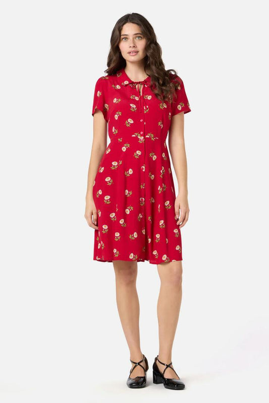 Image of a model wearing Dress. Productname: Marguerite Daisy Mini Dress in Red colour by brand - Princess Highway