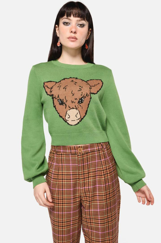 Image of a model wearing Outerwear. Productname: Grazing Cow Knit Jumper in Green colour by brand - Dangerfield