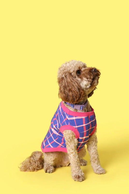 Image of a model wearing Outerwear. Productname: Reflection Pet Jumper in Print colour by brand - Gorman