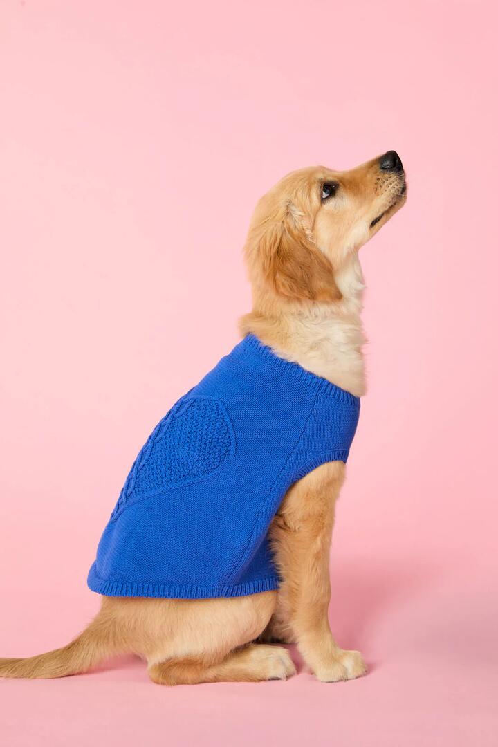 Image of Pet Supplies. Product name - Heart Felt Knit Dog Jumper in Blue colour by brand - Gorman
