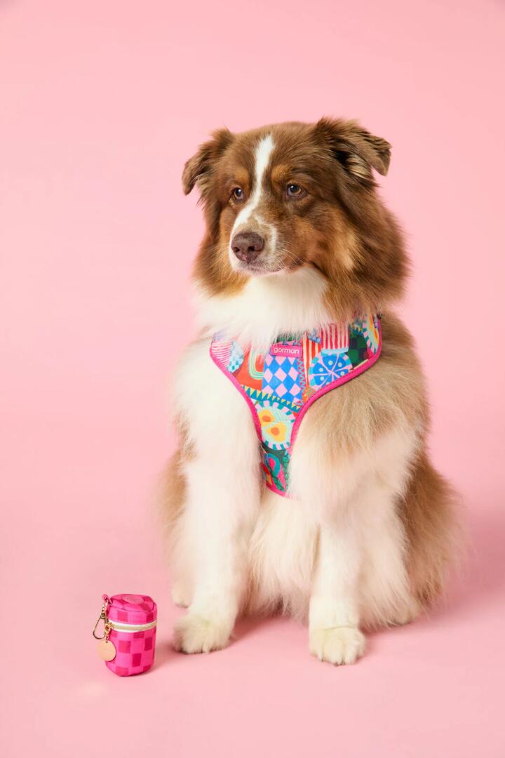 Image of Pet Supplies. Productname: Bon Appetite Pet Gift Set in Print colour by brand - Gorman