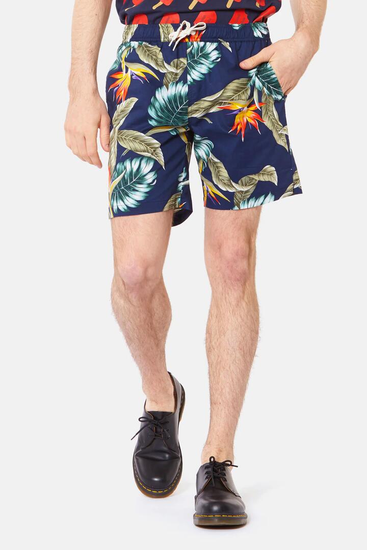 Image of a model wearing Shorts. Productname: Bird Of Paradise Trunk in White colour by brand - Dangerfield
