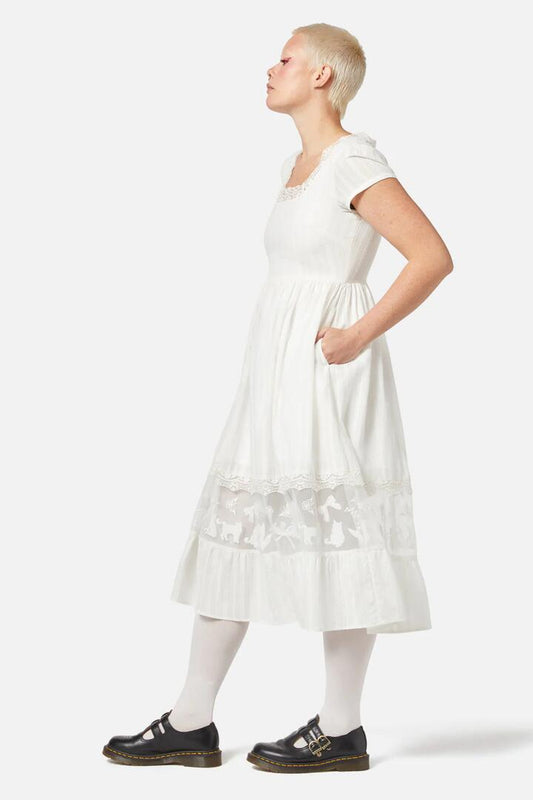 Image of Dresses. Productname: Catnip Lace Dress in Cream colour by brand - Dangerfield