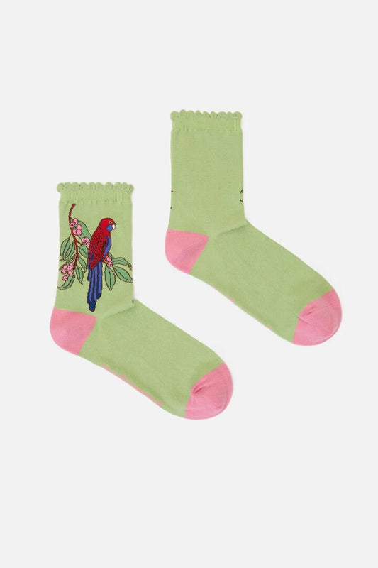 Image of Socks. Productname: Rosella Socks in Green colour by brand - Princess Highway