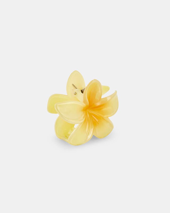 Image of Hair Accessories. Productname: CLAW CLIP - HEIDI: WHITE - Women's Hair in Multi colour by brand - Novo