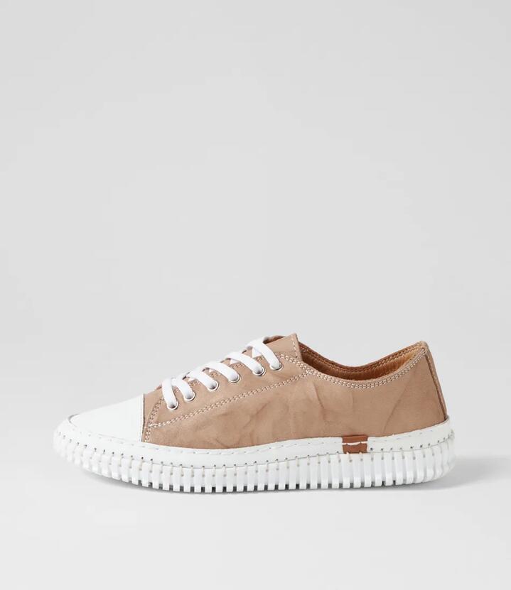 Image of Sneakers. Productname: Jittery Taupe Leather Sneakers in TAUPE colour by brand - MIDAS
