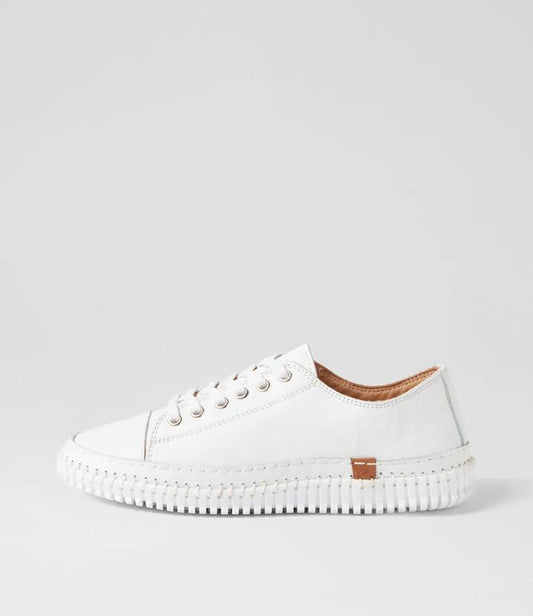 Image of Sneakers. Productname: Jittery White Leather Sneakers in WHITE colour by brand - MIDAS