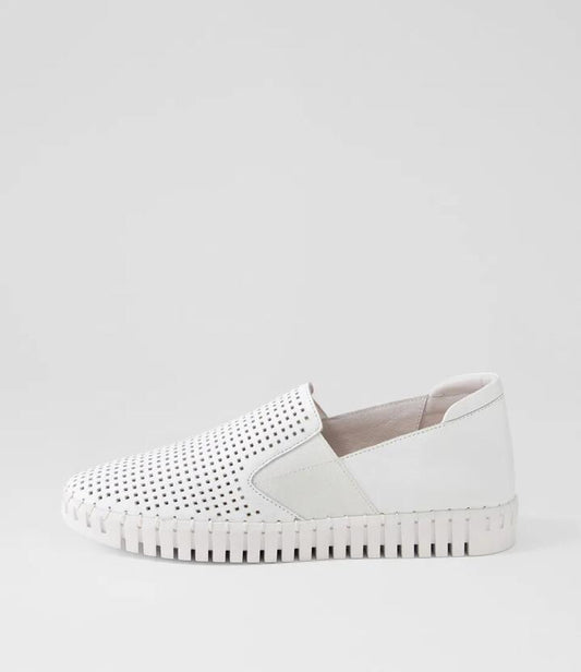 Image of Sneakers. Productname: Harena White Leather Sneakers in WHITE-WHITE SOLE colour by brand - MIDAS