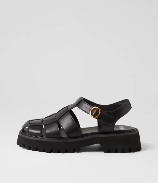 Image of Sandals. Productname: Skout Black Leather Sandals in BLACK-BLACK SOLE colour by brand - MOLLINI