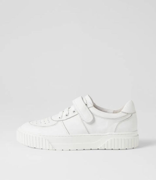 Image of Sneakers. Productname: Jerriee White Leather Sneakers in WHITE colour by brand - MOLLINI