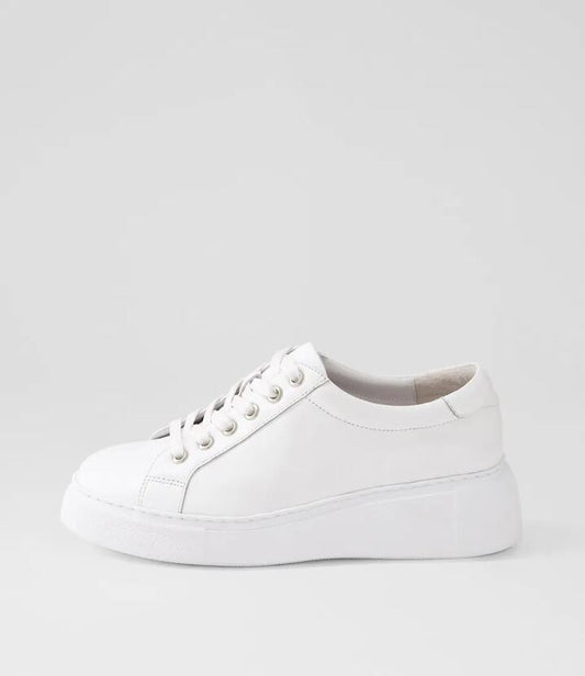 Image of Sneakers. Productname: Yejer White Leather Sneakers in WHITE-WHITE SOLE colour by brand - MIDAS