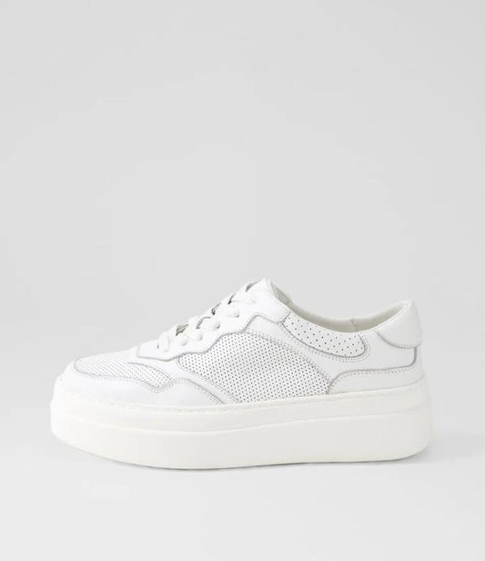 Image of Sneakers. Productname: Aware White Leather Sneakers in WHITE colour by brand - MOLLINI
