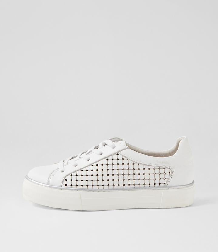 Image of Sneakers. Productname: Funfair White Leather Sneakers in WHITE-WHITE SOLE colour by brand - MIDAS