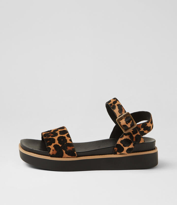 Image of Sandals. Productname: Benjo Leopard Black Pony Sandals in Leopard-Black Sole colour by brand - MIDAS