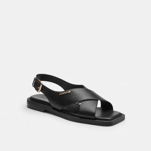 Image of Sandals. Productname: Link Criss Cross Sandal in BLACK colour by brand - Coach Outlet Australia