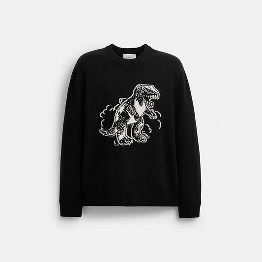 Image of a model wearing Outerwear. Productname: Rexy Sweater in BLACK colour by brand - Coach Outlet Australia