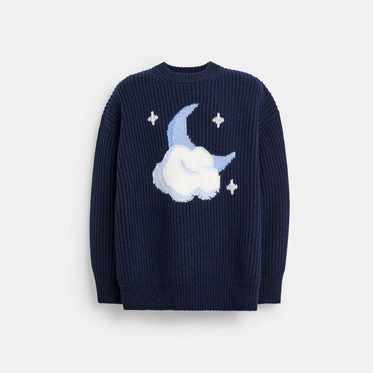 Image of a model wearing Outerwear. Productname: Chunky Graphic Sweater In Recycled Wool in NAVY BLUE colour by brand - Coach Outlet Australia