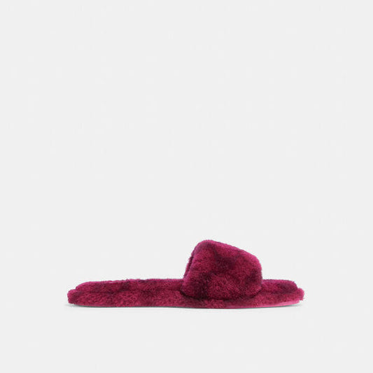 Image of Accessories. Productname: Blaire Slipper in BRIGHT FUCHSIA colour by brand - Coach Outlet Australia