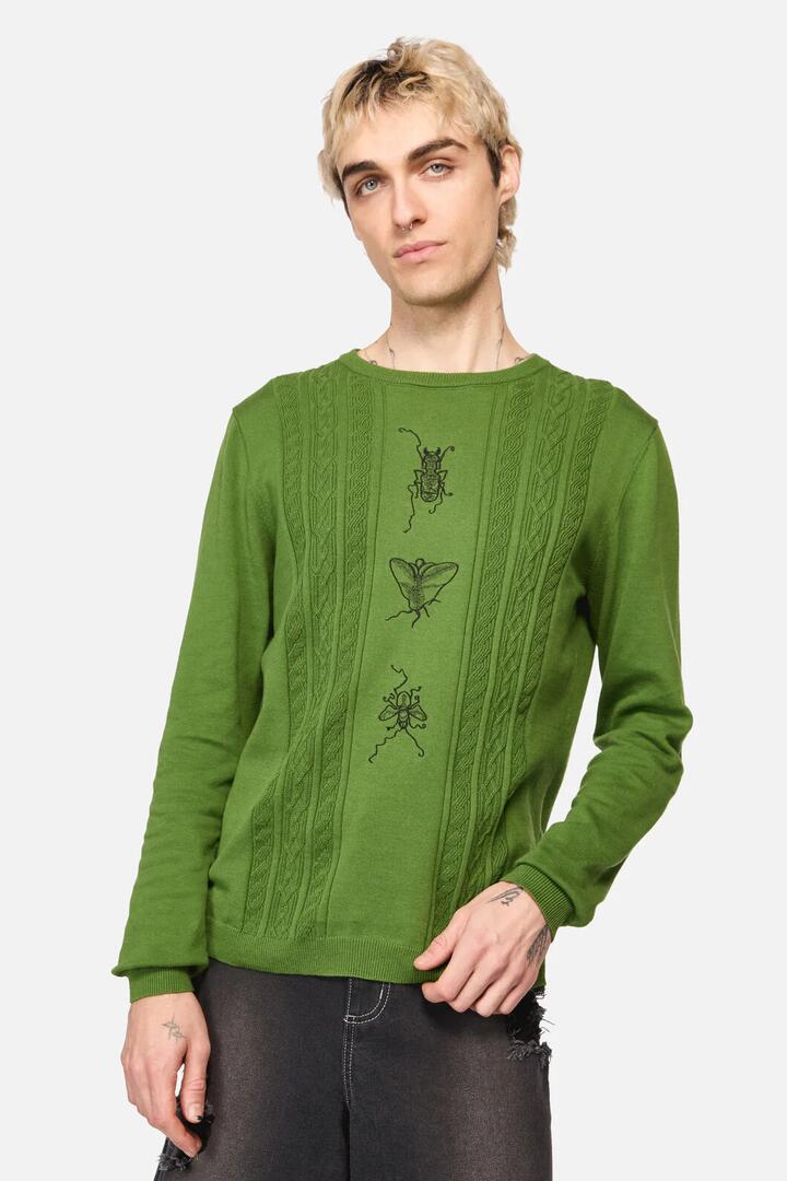 Image of a model wearing Tops. Productname: Insect Obsessed Cable Knit Jum in Green colour by brand - Dangerfield