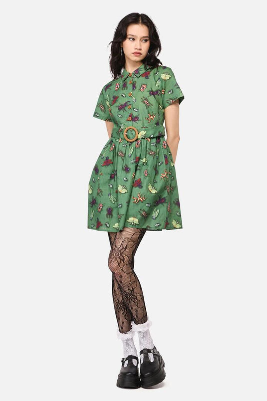 Image of a model wearing Dress. Productname: Entomology Print Dress in Green colour by brand - Dangerfield