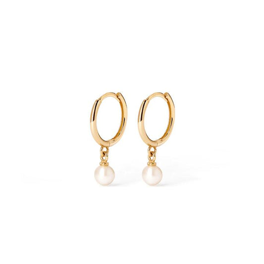 Image of Earrings. Productname: Pearl Huggie Earrings in 9kt Yellow Gold in Gold colour by brand - Bevilles