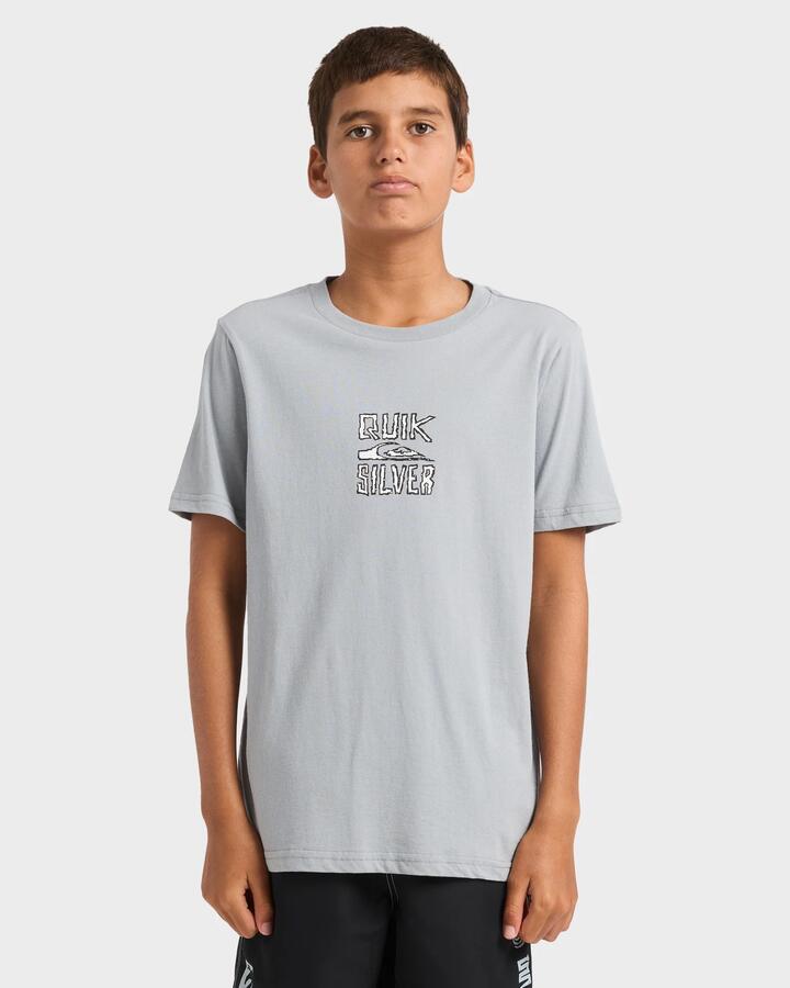 Image of T-Shirts. Product name - Quiksilver Boys 8-16 Lo Res T-Shirt Quarry in Quarry colour by brand - Quiksilver