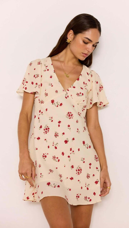 Image of Dresses. Product name - Red & Cream Floral Mini Dress in Cream/Red Floral colour by brand - MINKPINK