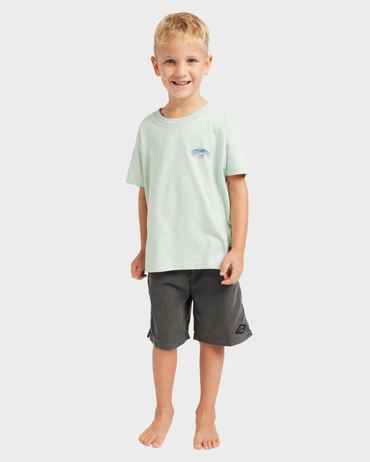 Image of T-Shirts. Product name - Billabong Boys 2-7 Wax Arch T-Shirt Seafoam in Seafoam colour by brand - Billabong